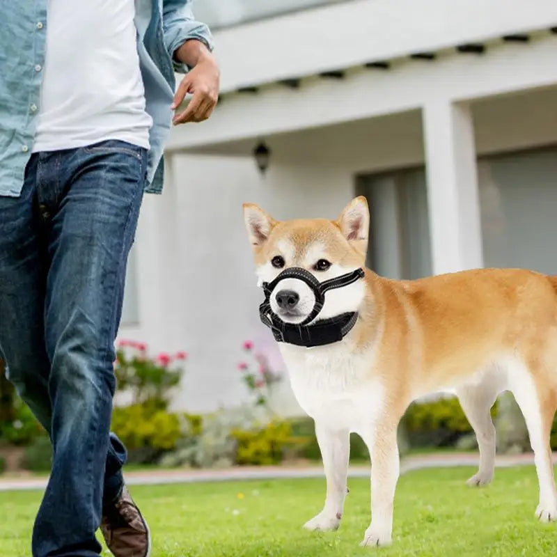 Reflective dog muzzle: nighttime safety &amp; absolute comfort
