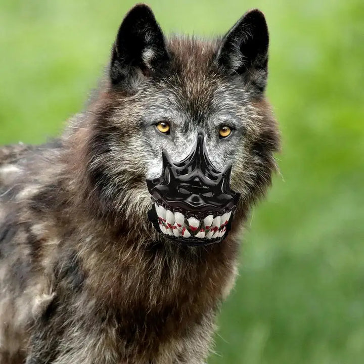 Halloween Dog Muzzle: Monstrous Mouth, Loving Comfort
