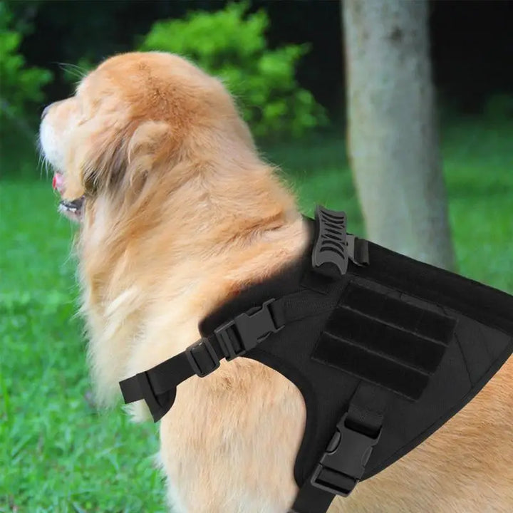 Adjustable Powerful Dog Harness – Force Respected Guided Freedom