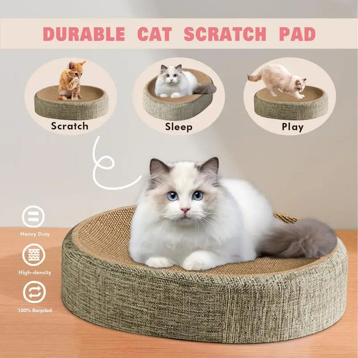 Oval cat scratching post: an anti-stress cocoon that saves your sofa