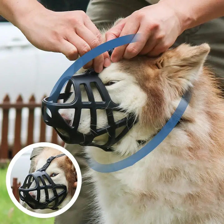 Soft muzzle for sensitive dogs loved and protected