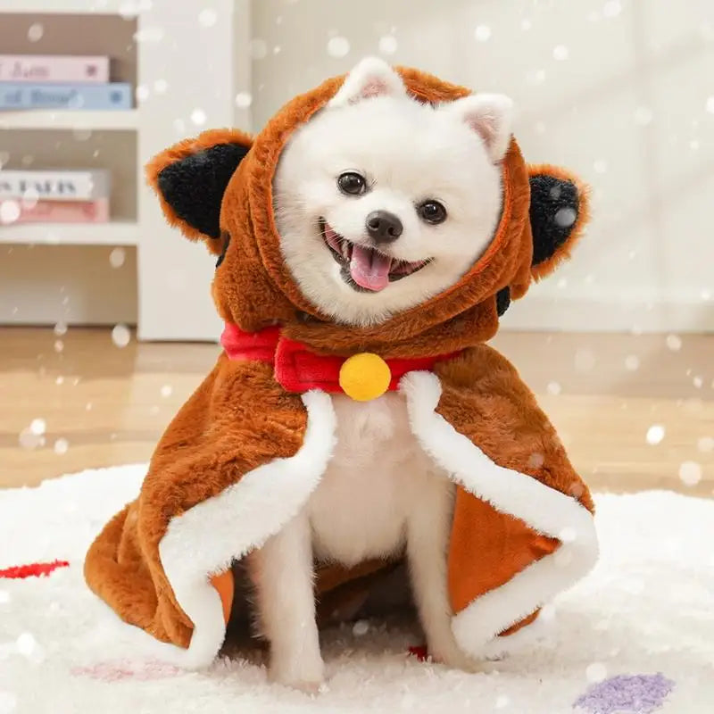 Winter dog cape: soft, warm, crisp