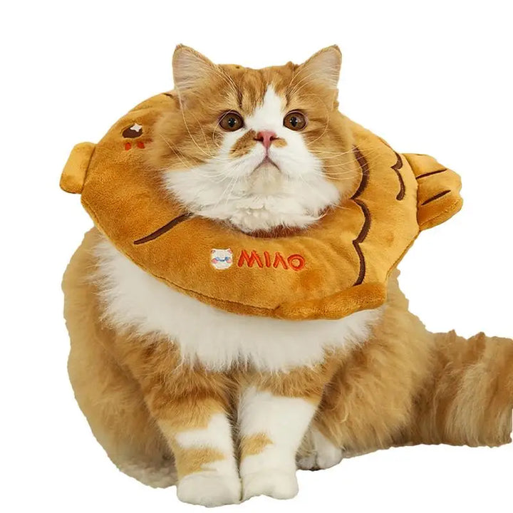 Post-operative cat collar: softness, comfort and protection