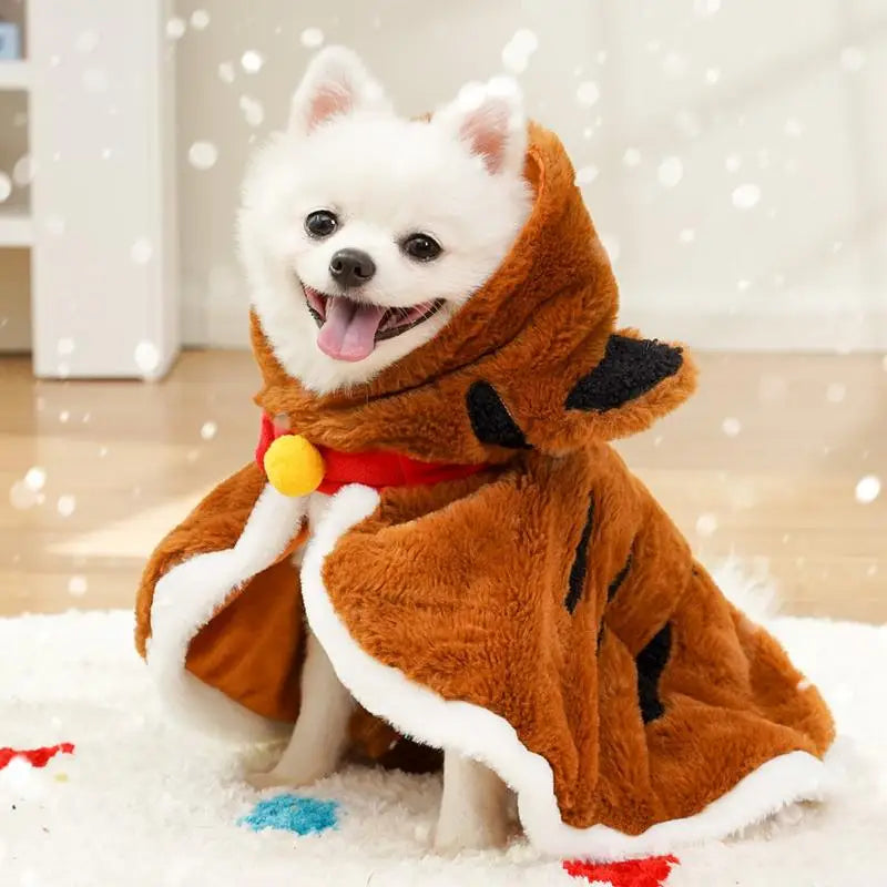 Winter dog cape: soft, warm, crisp