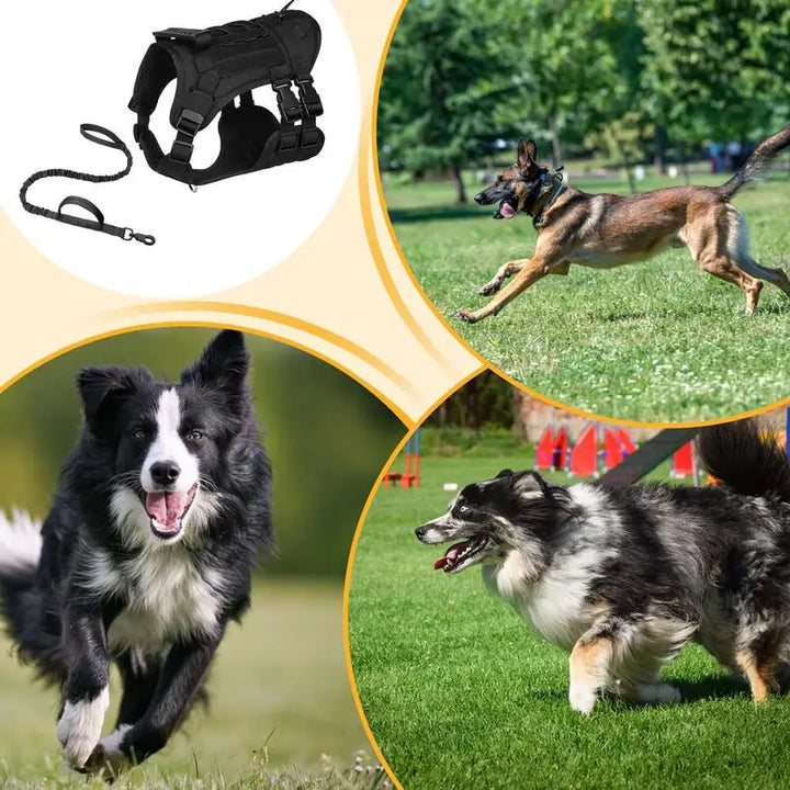 Adjustable Powerful Dog Harness – Force Respected Guided Freedom