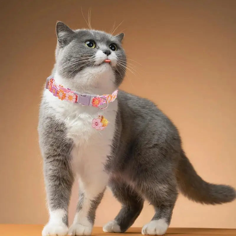 Cute Kitten Necklace – For Little Four-Legged Hearts