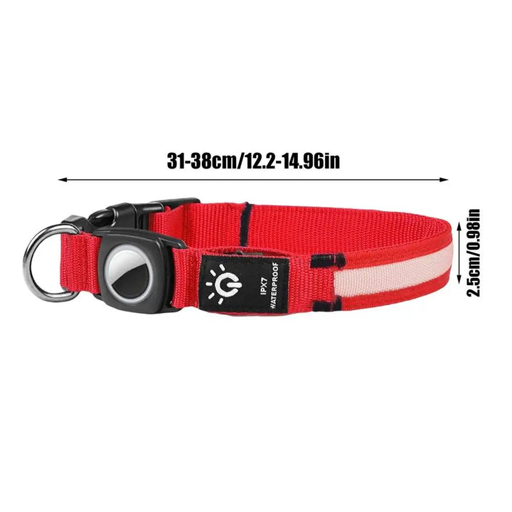 AirTag light-up dog collar: visible, locatable, reassuring day and night