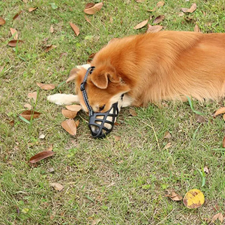 Soft muzzle for sensitive dogs loved and protected