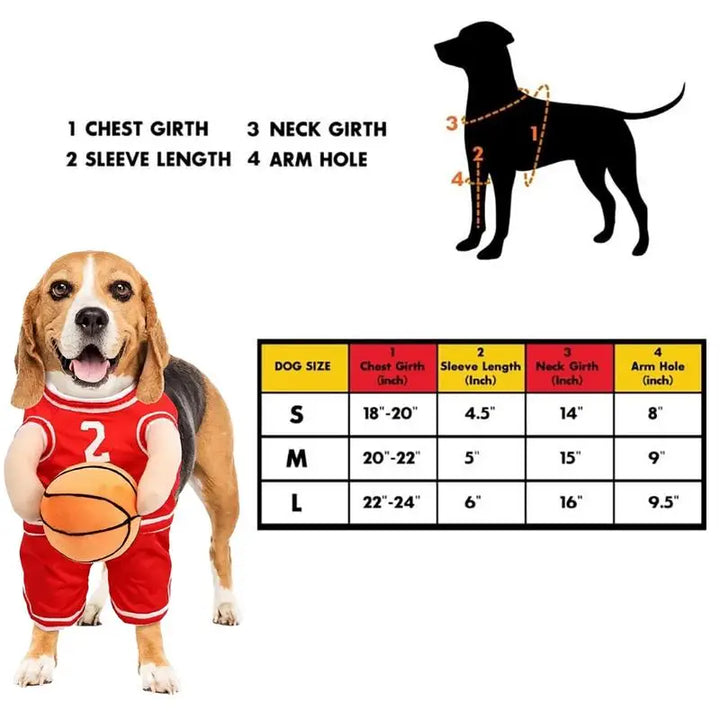 Basketball Player Costume for Dogs: Turn Your Dog into a Living Room Star