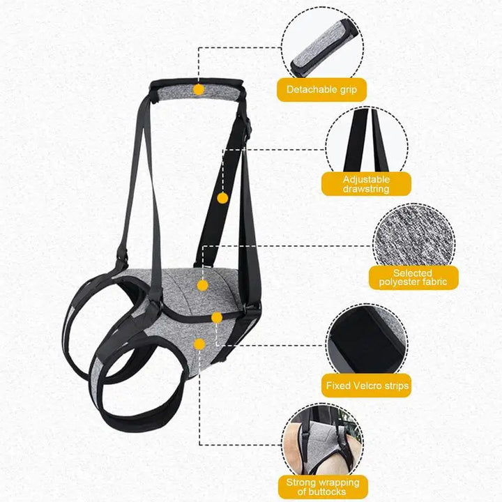 Back harness for older dogs, gentle and respectful support