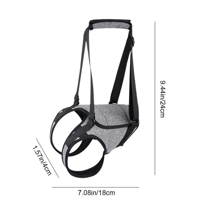 Back harness for older dogs, gentle and respectful support