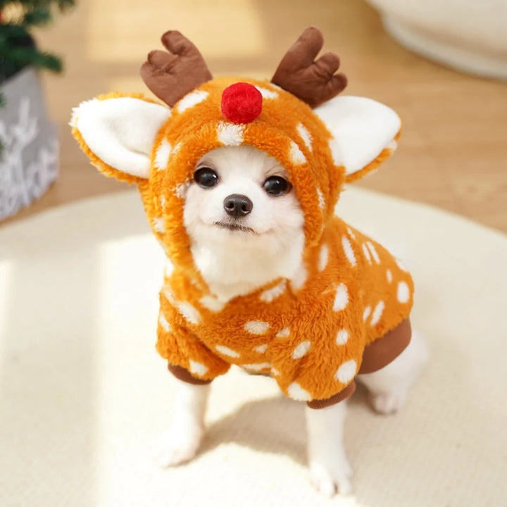 Reindeer Costume for Dogs: Warmth, Softness, Cute Photos