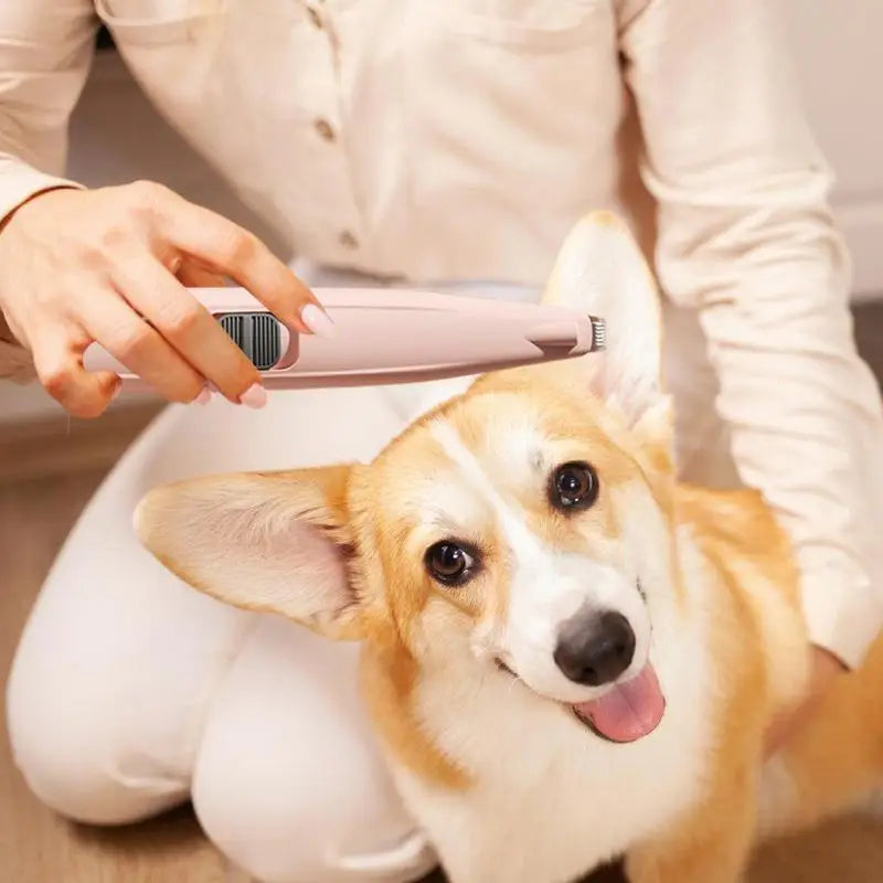 Paw clippers for dogs and cats: gentle, precise, stress-free