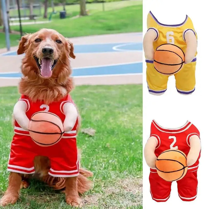 Basketball Player Costume for Dogs: Turn Your Dog into a Living Room Star
