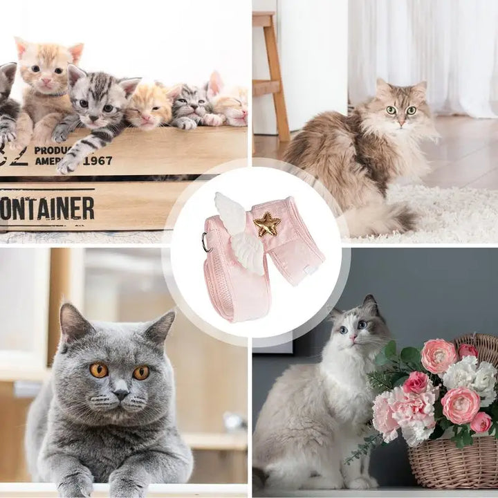 Cute Soft Breathable Angel Wings Kitten Harness
