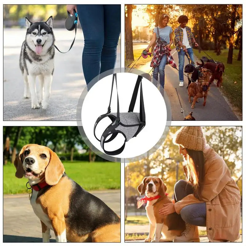 Back harness for older dogs, gentle and respectful support