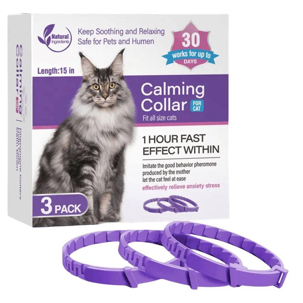 Calming collar for dogs and cats: calm returns without a word