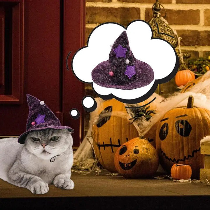 Dog &amp; Cat Witch Costume: Light, Shiny &amp; Irresistible