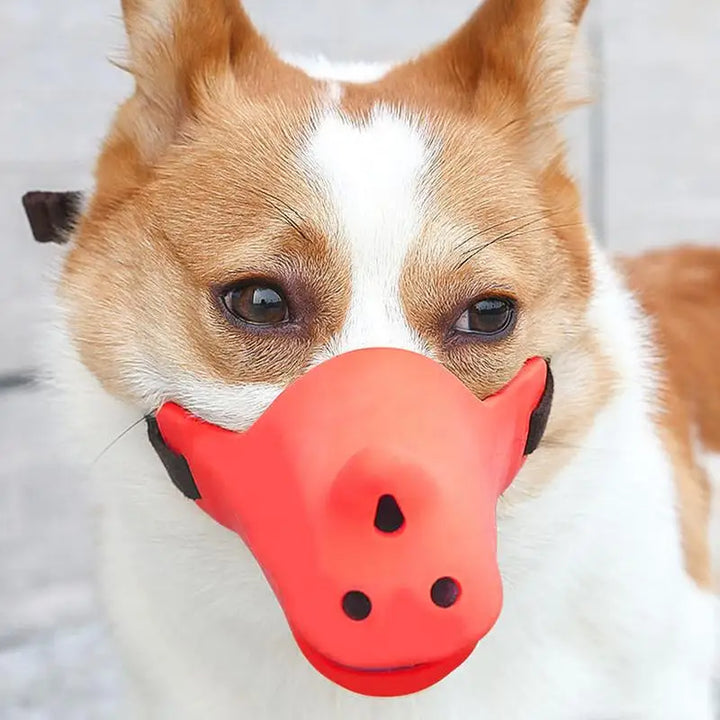 Soft muzzle for loved and respected dogs