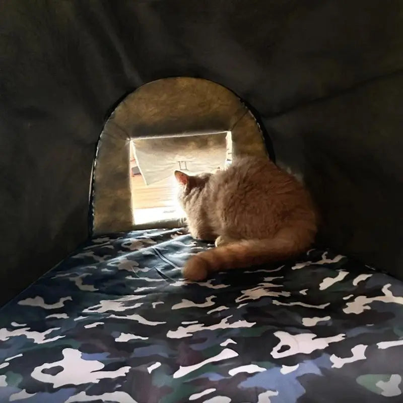 Outdoor Cat Shelter – Warmth &amp; Protection in Winter