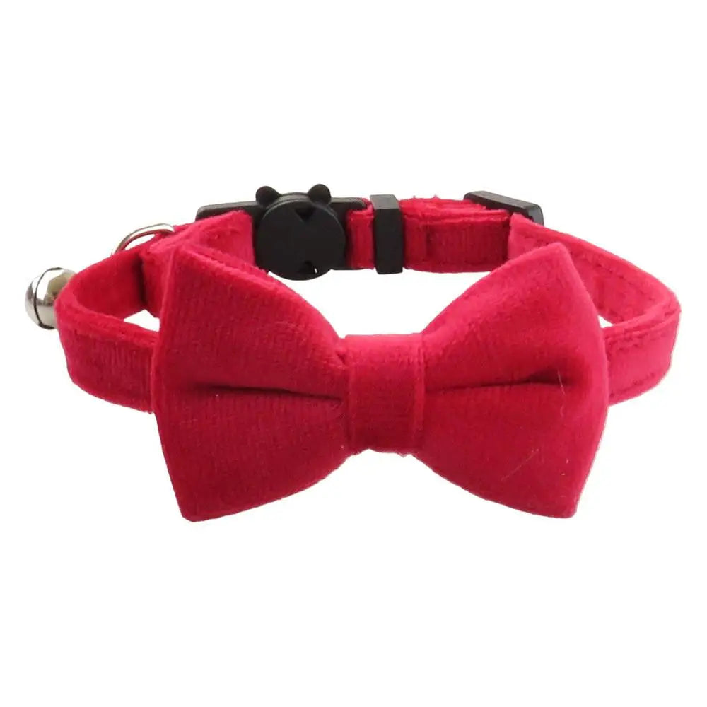 Dog &amp; Cat Bow Tie Collar: Understated Chic, Visible Love, Precious Memories