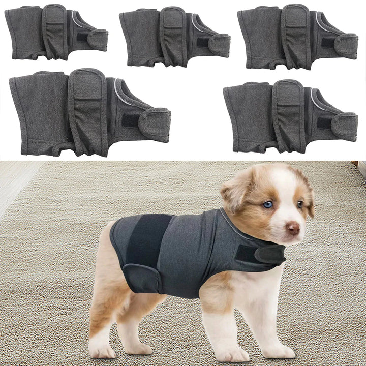 A continuous hug for anxious or stressed dogs