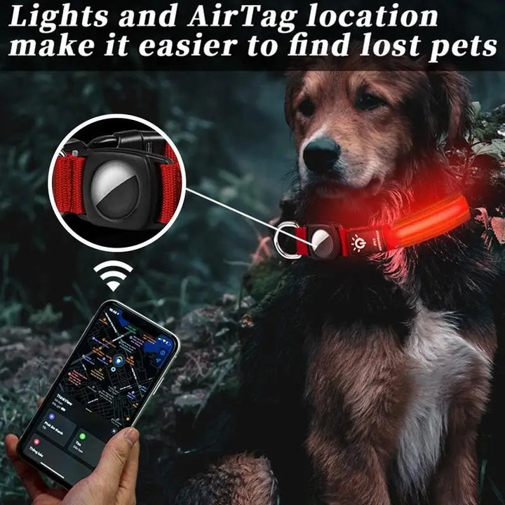 AirTag light-up dog collar: visible, locatable, reassuring day and night