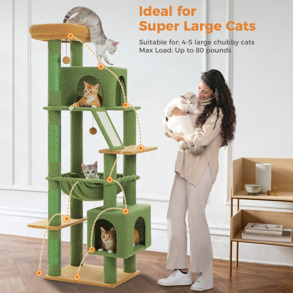 A majestic territory for powerful big cats