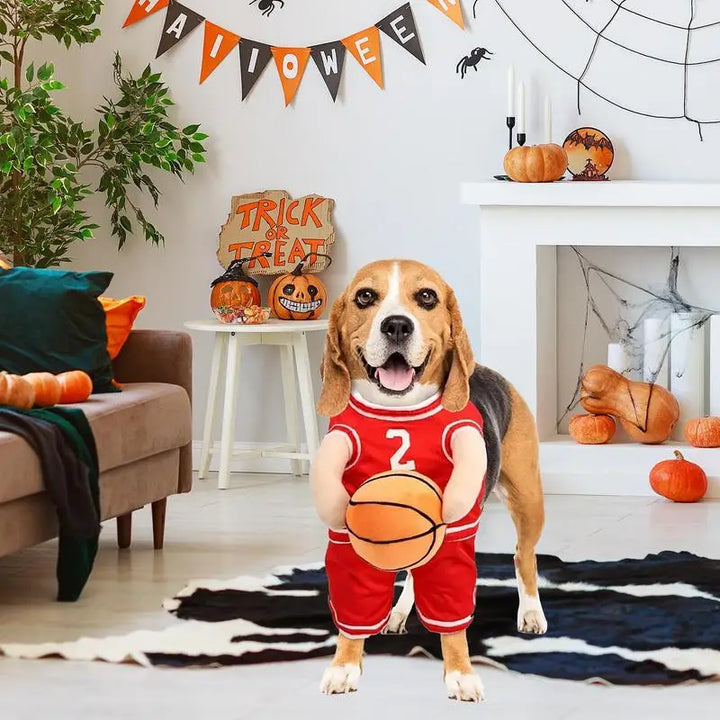 Basketball Player Costume for Dogs: Turn Your Dog into a Living Room Star