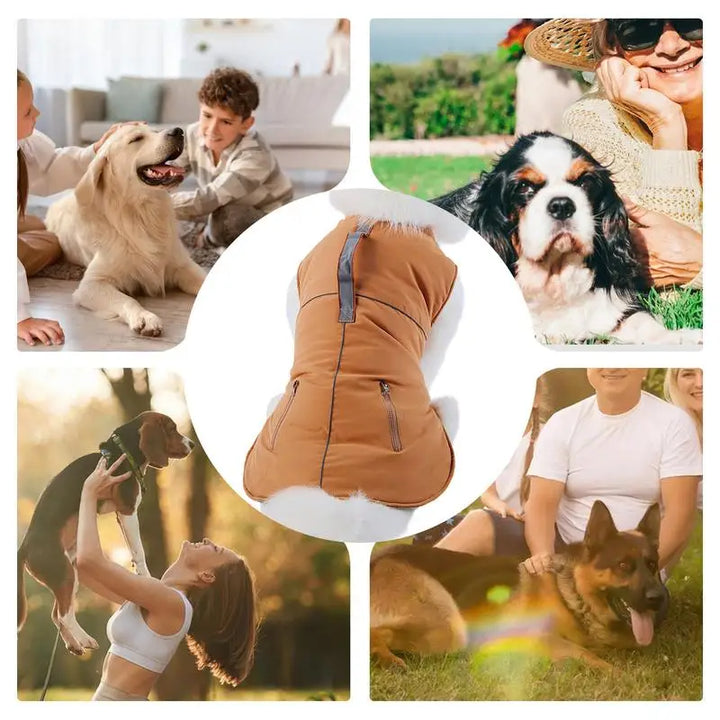 Elegant 4-legged turtleneck coat for small dogs