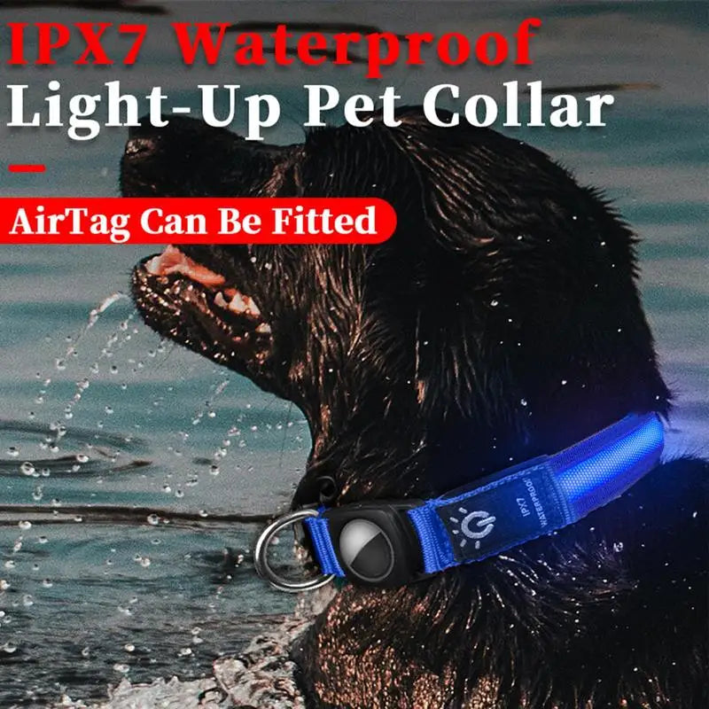 AirTag light-up dog collar: visible, locatable, reassuring day and night
