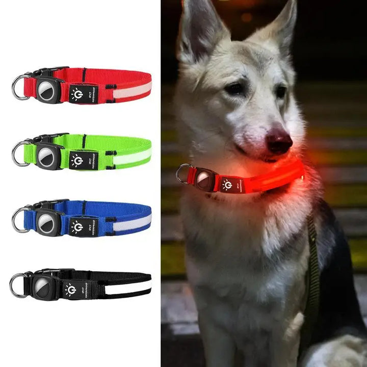 AirTag light-up dog collar: visible, locatable, reassuring day and night