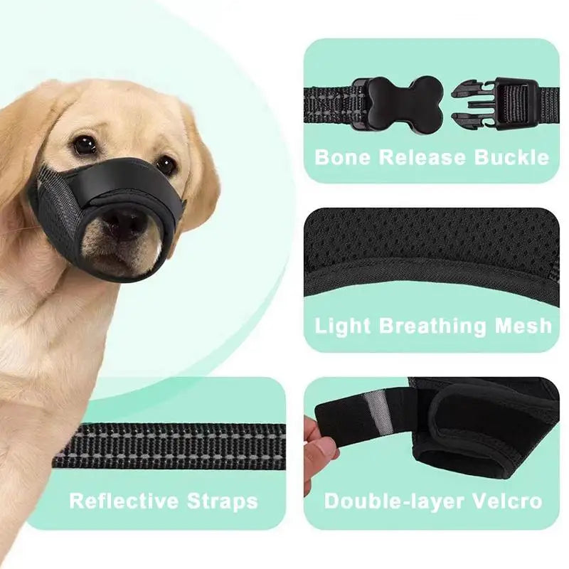 Muzzle for large dogs: protect without bullying, frame with love