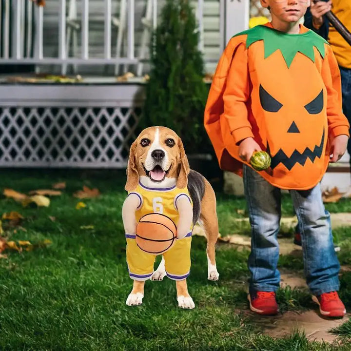 Basketball Player Costume for Dogs: Turn Your Dog into a Living Room Star