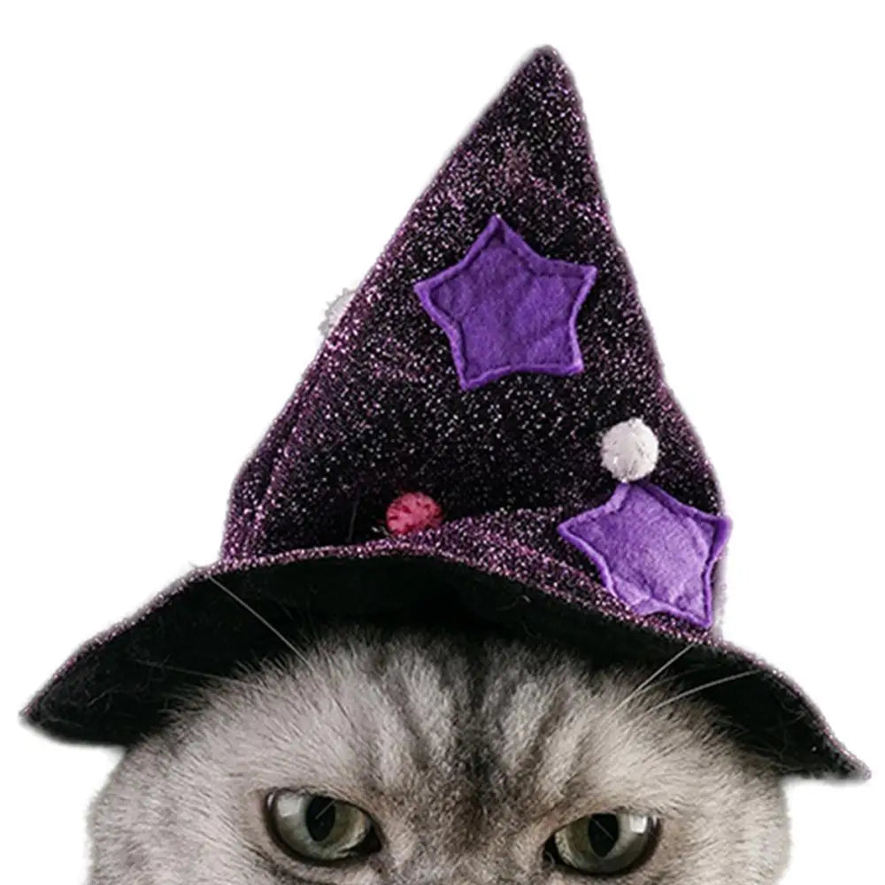 Dog &amp; Cat Witch Costume: Light, Shiny &amp; Irresistible