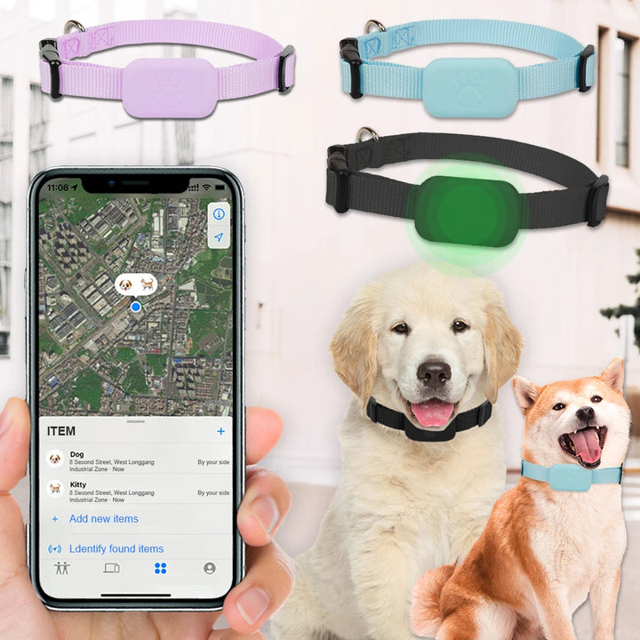 GPS collar for dogs and cats: visible, localizable, and always findable