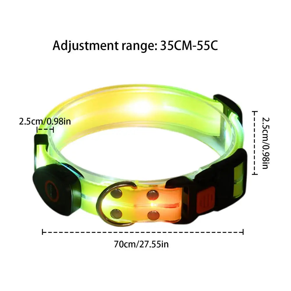 Light-up dog collar: safe night walks