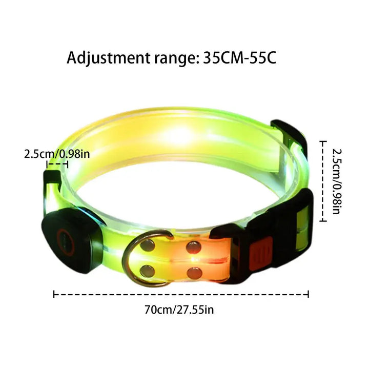 Light-up dog collar: safe night walks
